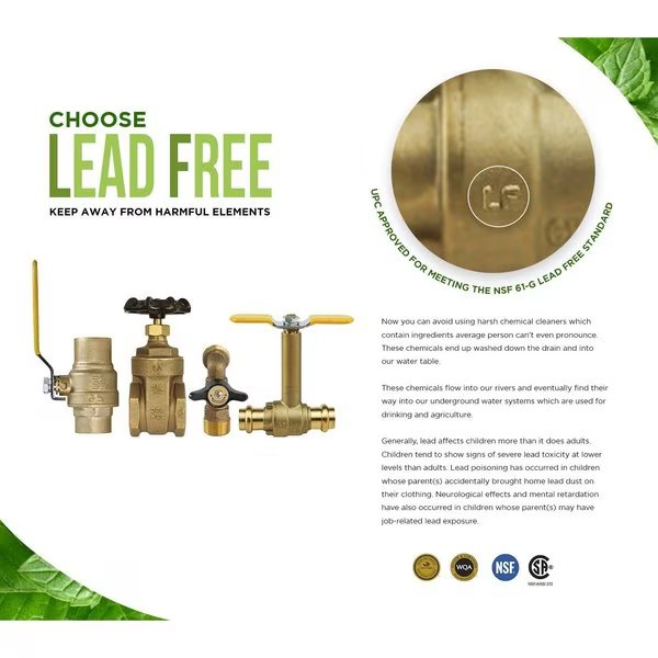 FIP Inline Spring Loaded Check Valve, Cast Brass 1-1/2
